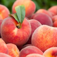 Close up of peaches
