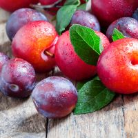 Close up of plums