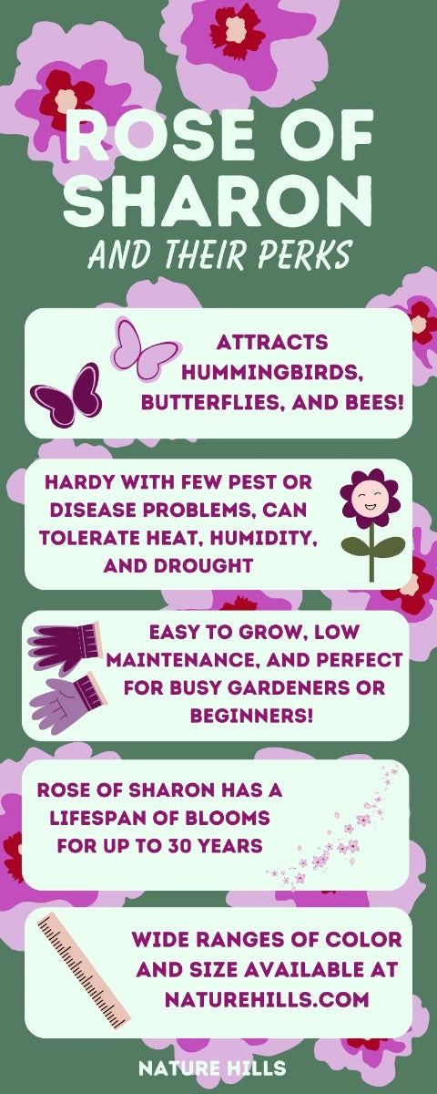 Rose of Sharon and their perks