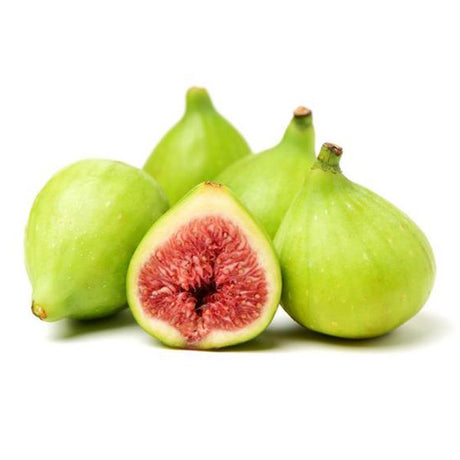 Excel Fig Tree - Nature Hills Nursery - 5x5x12 Inch Container - 