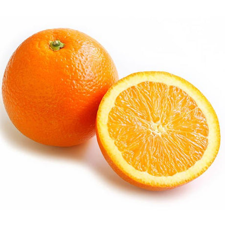 Fukamoto Orange Tree - Nature Hills Nursery - 5x5x12 Inch Container - 