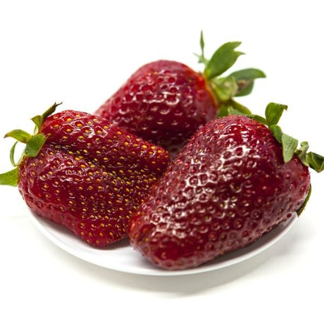 Ozark Beauty Everbearing Strawberry Plant - Nature Hills Nursery - 20 Pack Bareroot - 
