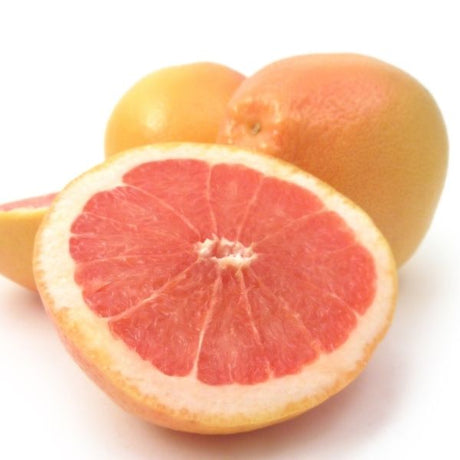 Ray Ruby Grapefruit Tree - Nature Hills Nursery - #1 Container 1 - 2 Feet - 