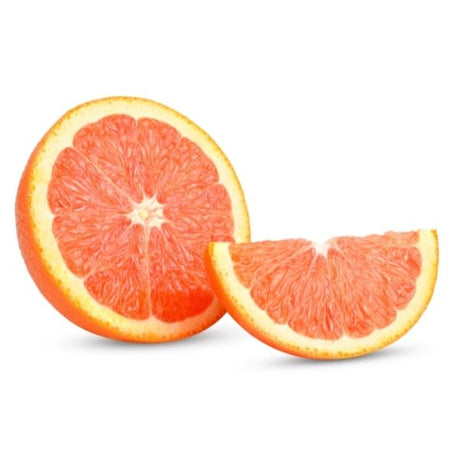 Red Navel Orange Tree - Nature Hills Nursery - #3 Container 2 - 3 Feet - 