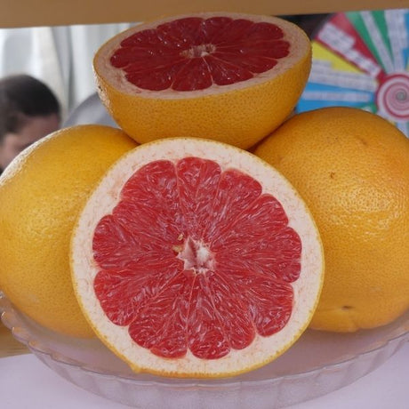 Star Ruby Grapefruit Tree - Nature Hills Nursery - 5x5x12 Inch Container - 