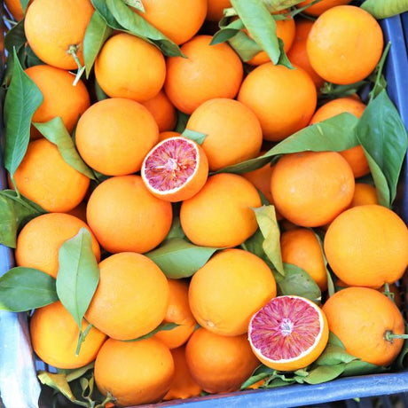 Tarocco Blood Orange Tree - Nature Hills Nursery - 4x4x9 Inch Container - 